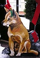 Dingo - prop