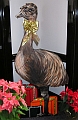 Emu - prop