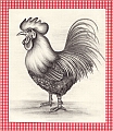 Rooster - drawing