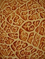 Cabbage up close - oil painting
